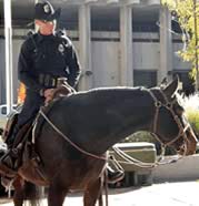 Spanish For Law Enforcement